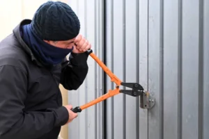 Garage Door Security