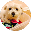 David Sa David Sa profile picture